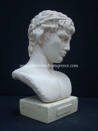 Antinoos Greek Plaster Bust Statue Greek Busts Sculptures Greek