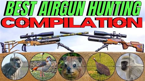 THE BEST AIR GUN HUNTING COMPILATION EVER I CENTRE FIRE AND AIRGUN