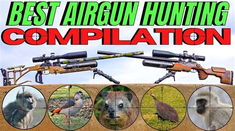 The Best Air Gun Hunting Compilation Ever I Centre Fire And Airgun