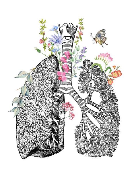 Lungs Art Xx Digital Art By Erzebet S Pixels