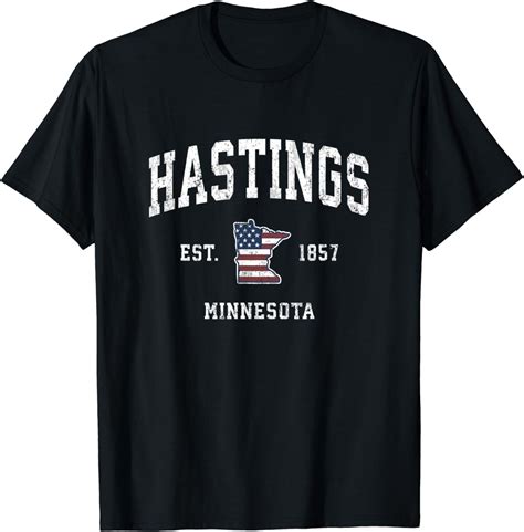 Hastings Minnesota Mn Vintage American Flag Sports Design T