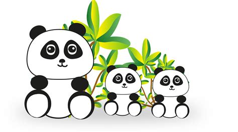 Top 64 Imagen Dibujos De Osos Panda Vn