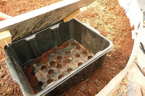 How To Make A Wicking Bed Milkwood