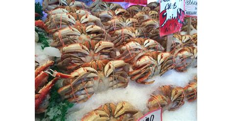 A Seafood Suppliers Guide On Fresh Versus Frozen