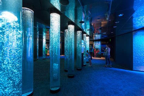 National Aquarium In Baltimore Exhibit Design Cambridgeseven