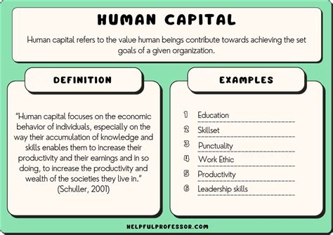 15 Human Capital Examples 2024