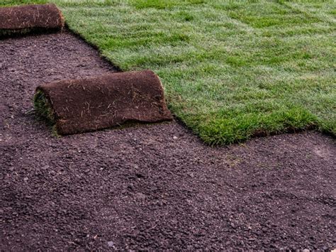 How To Care For New Sod After Winter Lawn Care For New Sod When To