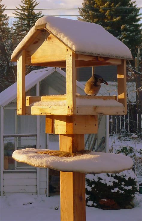 The plastic sheet should support the weight of birds but not support the weight of a squirrel. Backyard Garden : Wooden Bird Feeder Stand and Feeder Tube