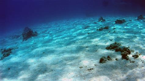 Whats At The Bottom Of The Sea A Fifth Of The Worlds Ocean Floor Has