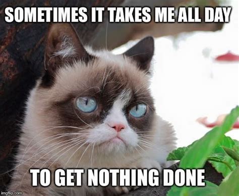Sometimes It Takes Me All Day To Get Nothing Done Grumpy Cat Quotes