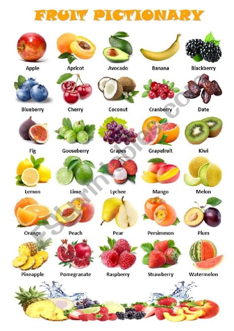 Instant Download Printable Fruits Educational Poster Montessori Images
