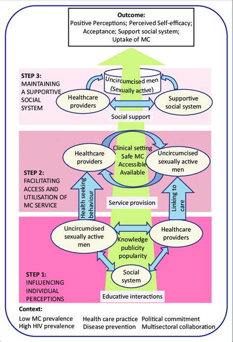 The Model To Promote The Uptake Of Male Circumcision Download Scientific Diagram