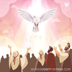 Pentecost is celebrated on the seventh sunday or 50 days after easter sunday. Happy Pentecost Sunday Gif - 6337 | Words Just for You ...