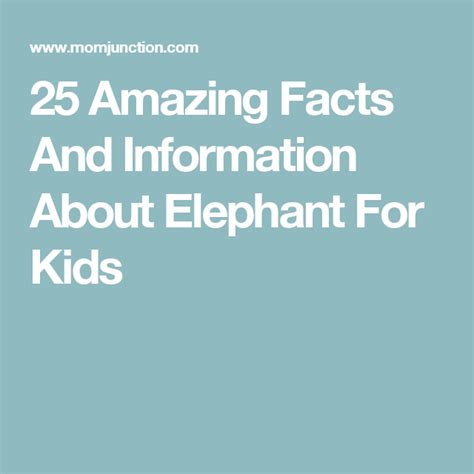 25 Amazing Facts And Information About Elephant For Kids Elephants