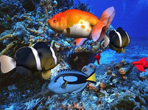 Beautiful 3d Underwater Scene Wallpapers Animated Screensavers