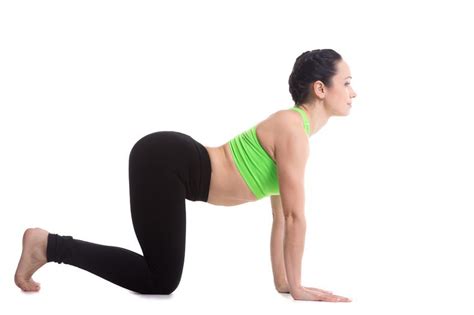 Learn the cat and cow stretch for prenatal yoga from fitness expert cait morth in this howcast workout video. 7 yoga asanas for backache