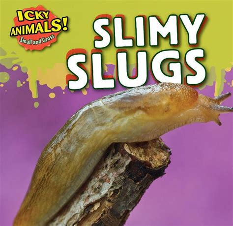 Icky Animals Small And Gross Slimy Slugs Hardcover