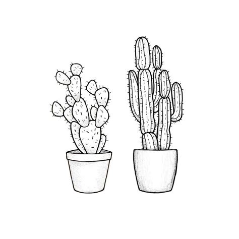 Cacti Cactus Drawing Floral Drawing Love Drawings Easy Drawings