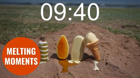 Timelapse Video Shows Melting Times Of Four Different Ice Creams In The