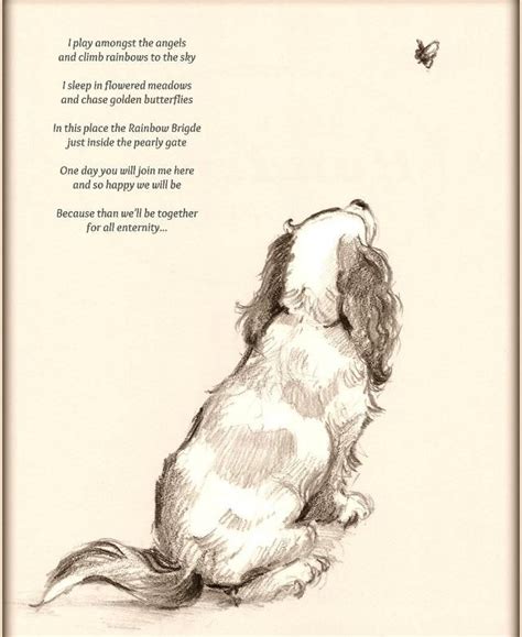 Poems about the death of a pet can bring comfort to those grieving. 514 best Crossing Over Rainbow Bridge and Heaven images on ...