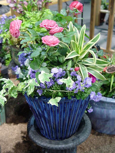Colorful Containers For Sun And Shade Ohio Gardener
