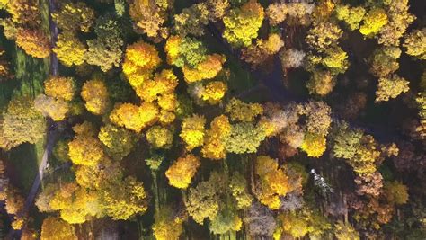 Aerial View Of Autumn Fall Stock Footage Video 100 Royalty Free