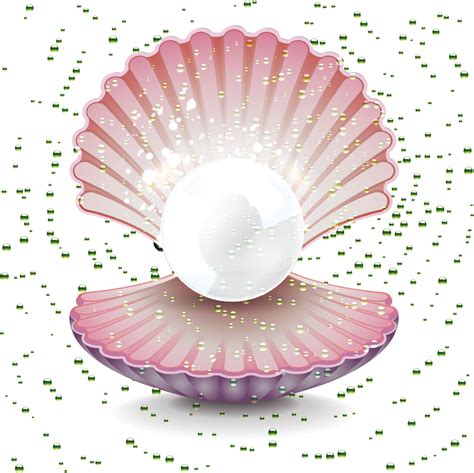 Download Pearl Gemstone Clip Art Shell 卡通 珍珠 Png Download Png