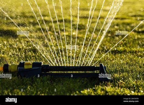 Lawn Sprinkler Spraying Water Over Green Grass Modern Device Of