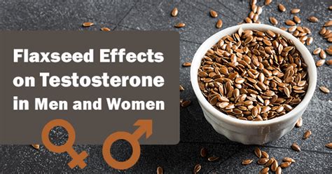 Flaxseed Effects On Testosterone Is It A Testosterone Killing Food