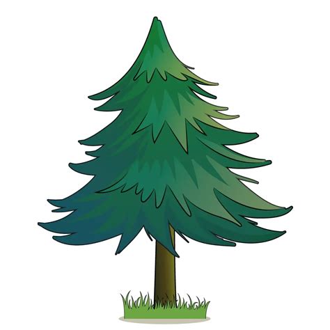 How To Draw A Pine Tree Step By Step