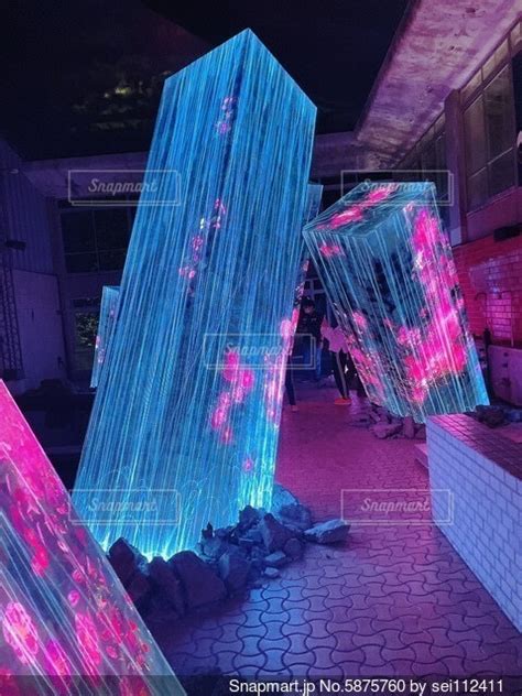 ライトアップされた夜の街の写真・画像素材 5875760 Snapmart（スナップマート）