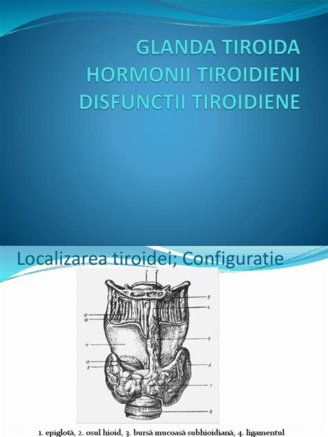 Biologie Xi Proiect De Lectie Tiroida Pdf