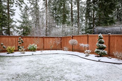 How To Keep Your Yard Beautiful In The Winter Austex Fence And Deck