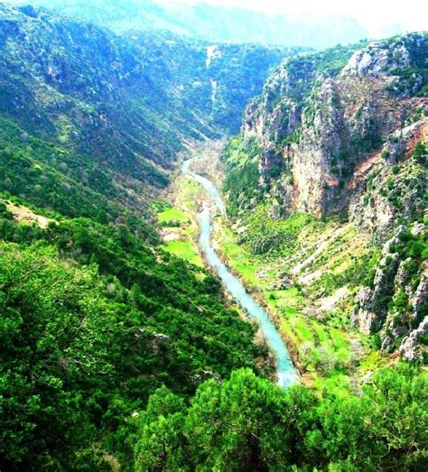 Lebanon A River Valley In Spring Beautiful Places On