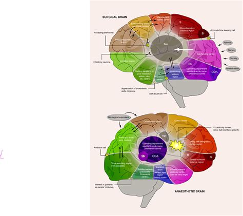 Brain Maps The Bmj
