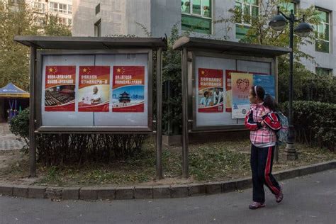 ‘we Have A Fake Election China Disrupts Local Campaigns The New