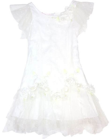 Biscotti Girls Embroidered Tulle Dress Heirloom Romance Sizes 4 16 Ebay