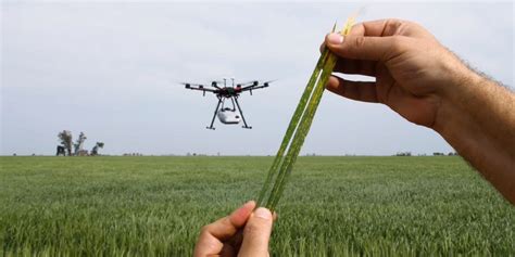 Smart Farming 2021 - IoT in Agriculture: Sensors & Robotics