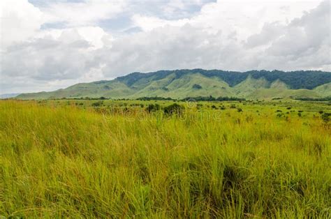 Rolling Hills Lush Green Grass And Soft White Clouds In Countryside Of