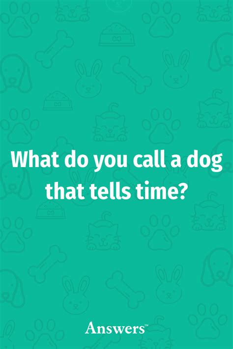What Do You Call A Dog That Tells Time Fun Facts About Yourself You