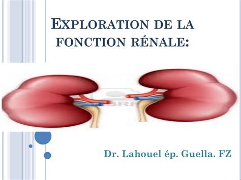 Exploration De La Fonction Rénale