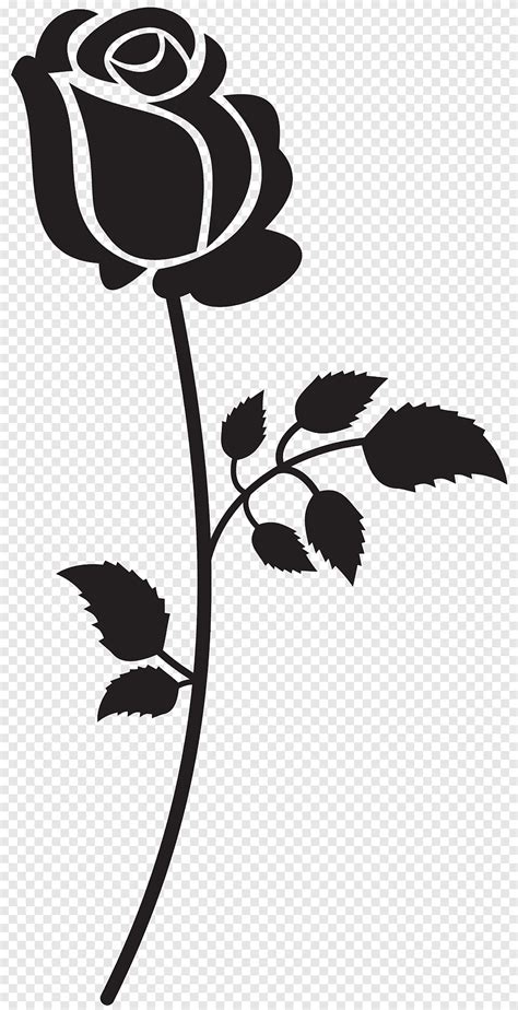 Silhouette Rose Rose Silhouette S Feuille Branche Png PNGEgg