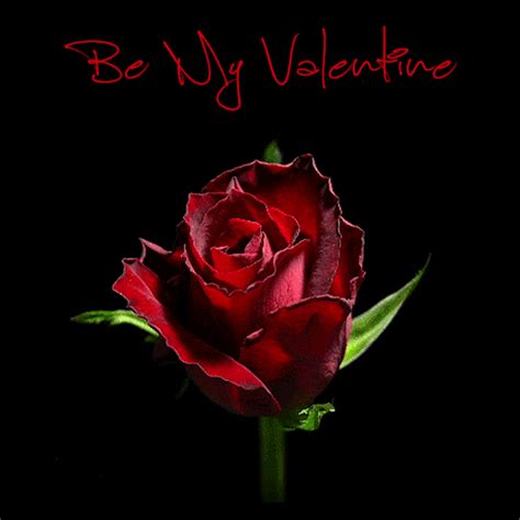 Valentines Love And Roses Animated S Best Animations