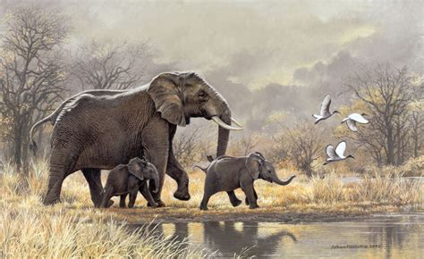 Johan Hoekstra Wildlife Art Collection Elephant Pictures African