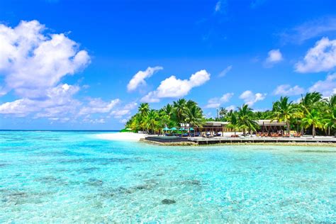 A negril beach vacation for families. Reserve Fantasy and Beachnut Villa | Jamaica Beach ...