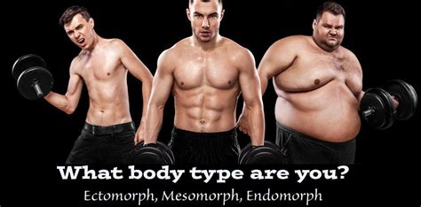 Whats Your Body Type Ectomorph Mesomorph And Endomorph