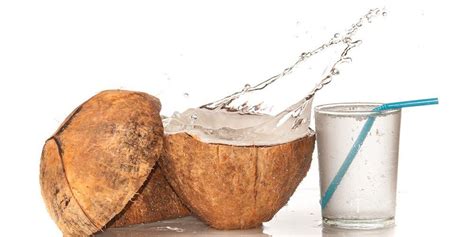Manfaat Air Kelapa Muda Untuk Diet Tips Hidup Sehat