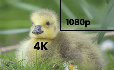4k Vs 1080p Whats The Difference A1 Security Cameras