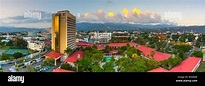 Elevaated view over central Kingston, St. Andrew Parish, Jamaica ...