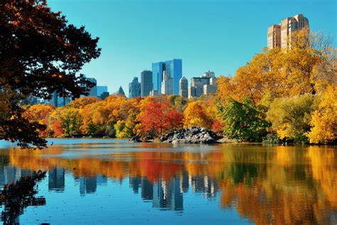 Nycs Stunning Fall Foliage Is In Pre Peak At Central Park